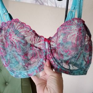 Paramour Turquoise and Fuchsia Lace Bra